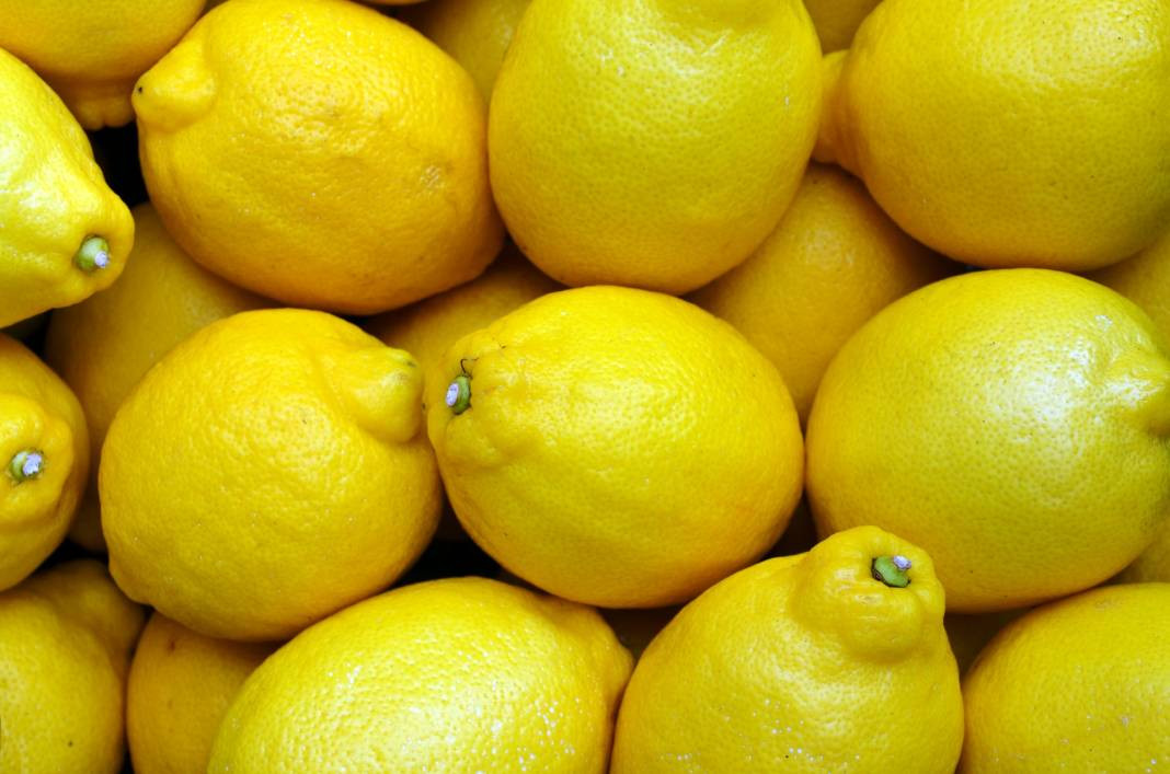 Limonun değil fiyatının suyu çıktı! Limonu durdurabilene aşk olsun - Resim: 12